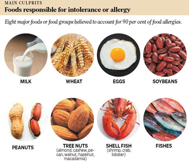 Foods intolerance and which food responsible for the top 8 food allergies.