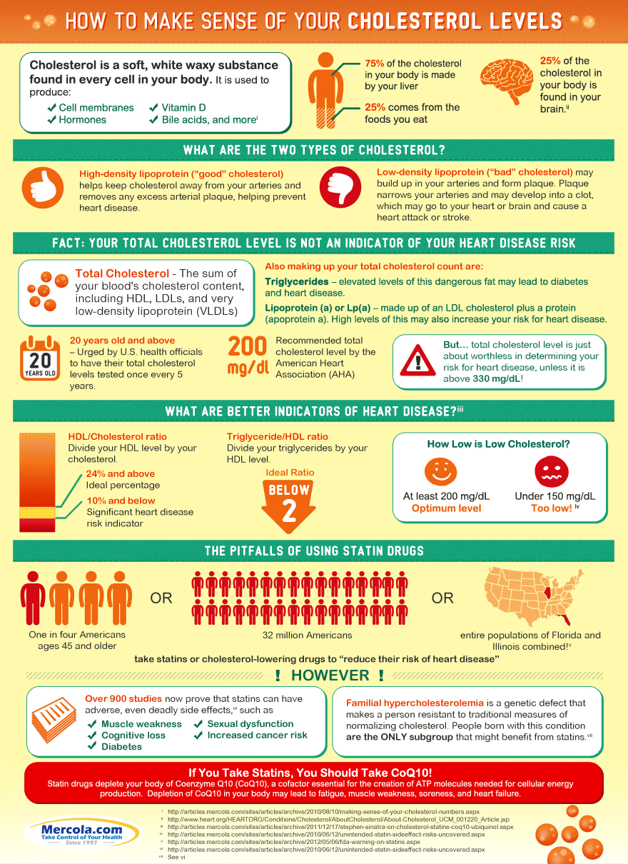 Dr. Mercola's Cholesterol Levels Iinfographic